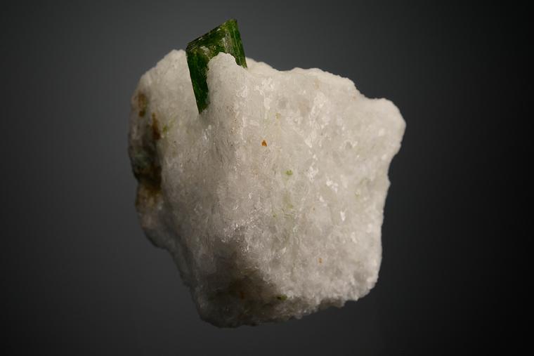 PARGASITE
